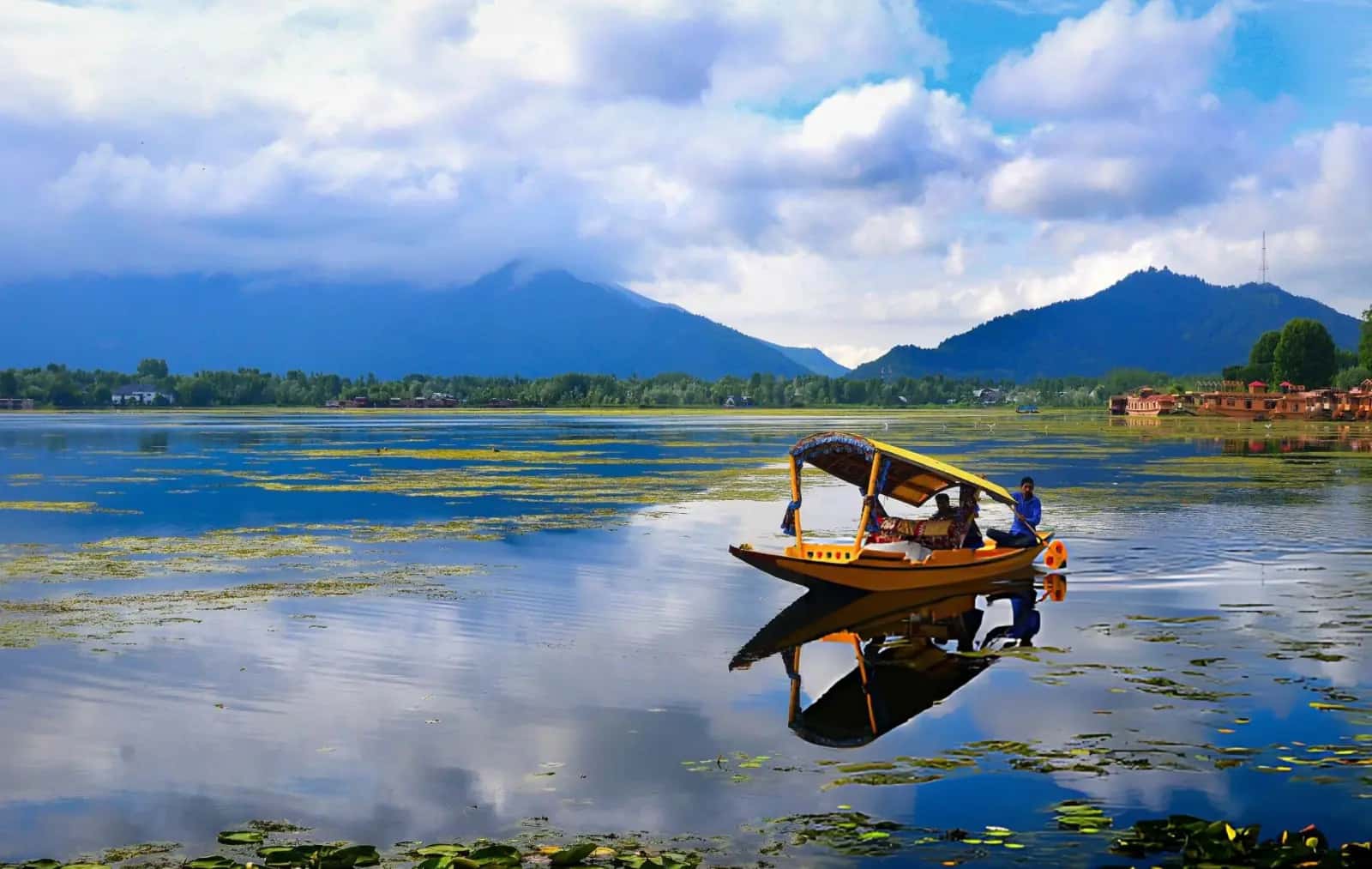DAL LAKE destination in Kashmir - scenic view
