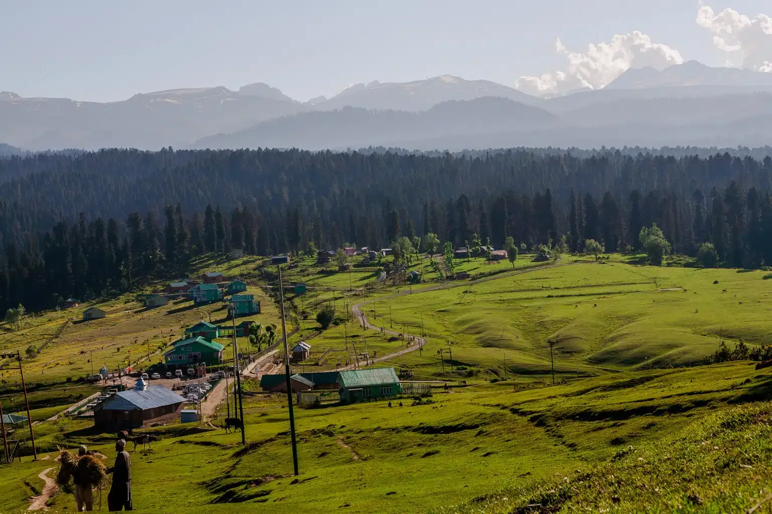 Scenic view of Yusmarg