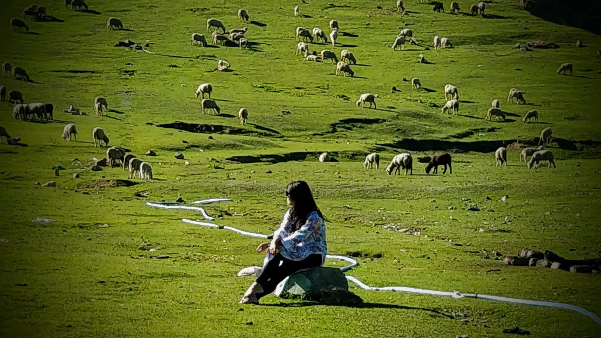 Leisure & Photography icon