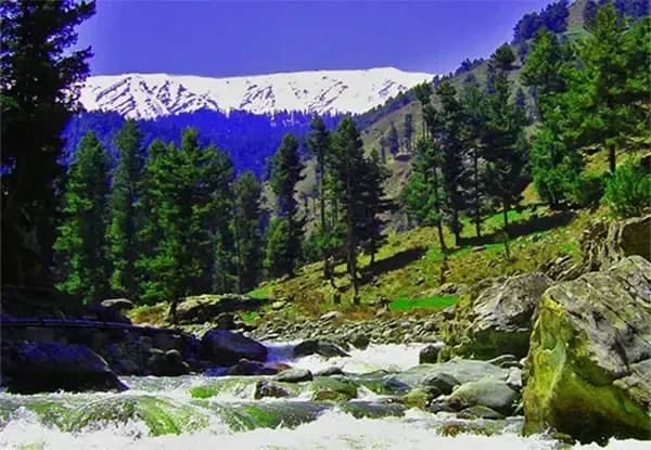 Visit Tangmarg Villages icon