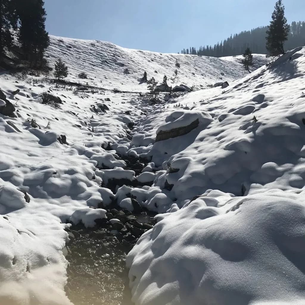 Snow-Covered Slopes (Winter)