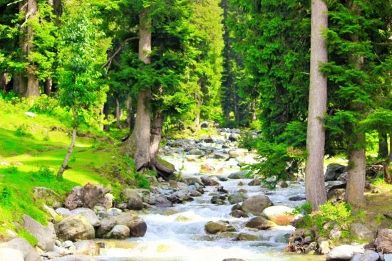 Scenic view of Daksum