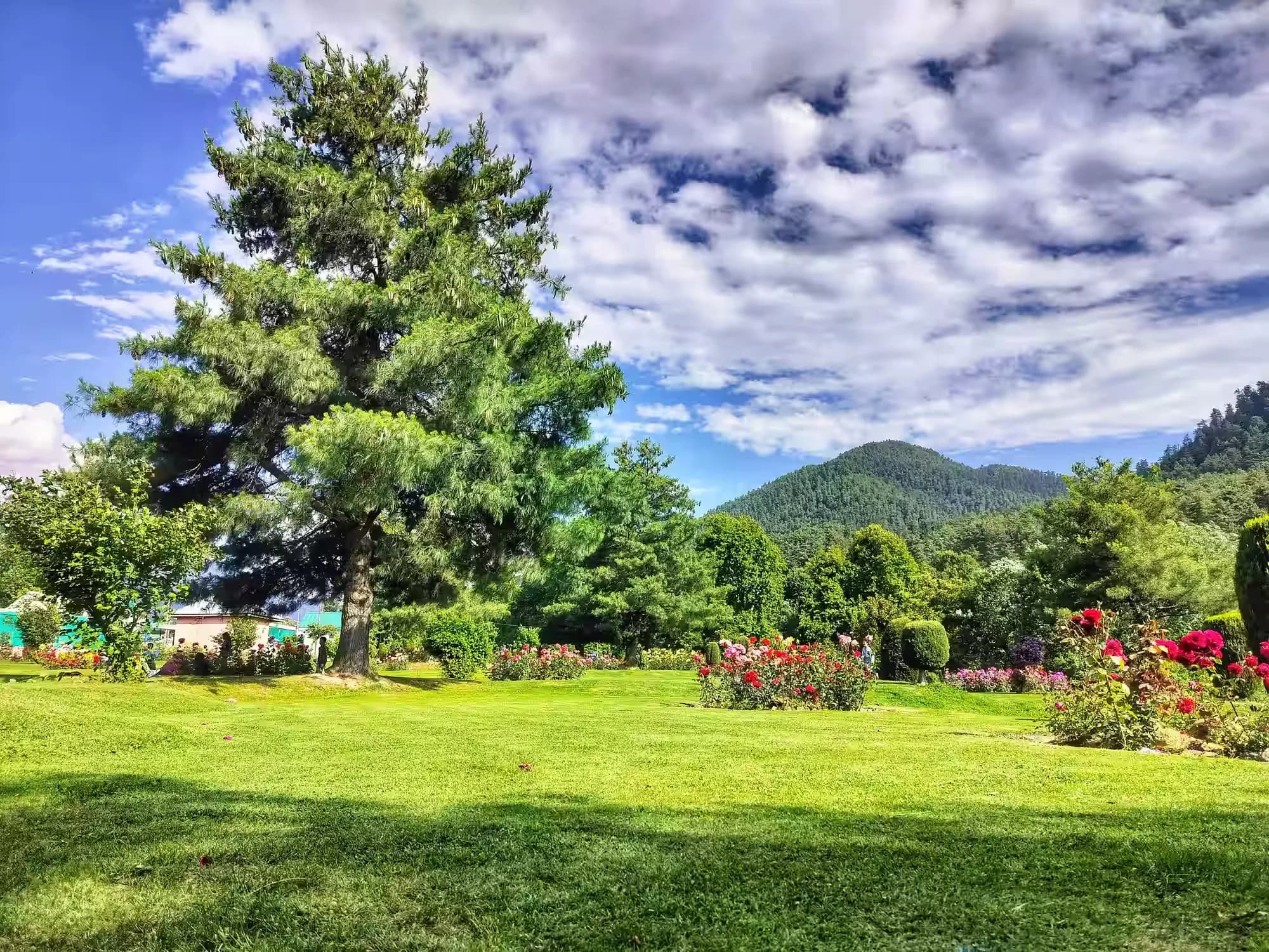 Visit Kokernag Spring icon