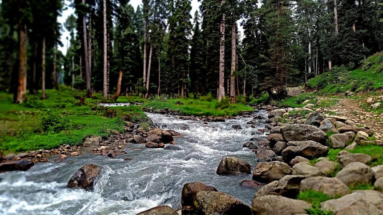 Brenwar River Streams