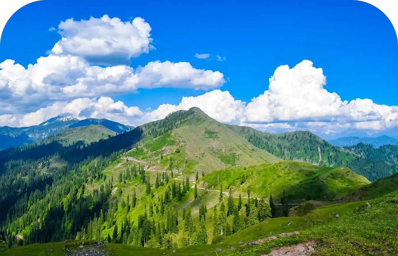 Gulmarg: The Ultimate Winter Wonderland Experience - FlyMounte Blog