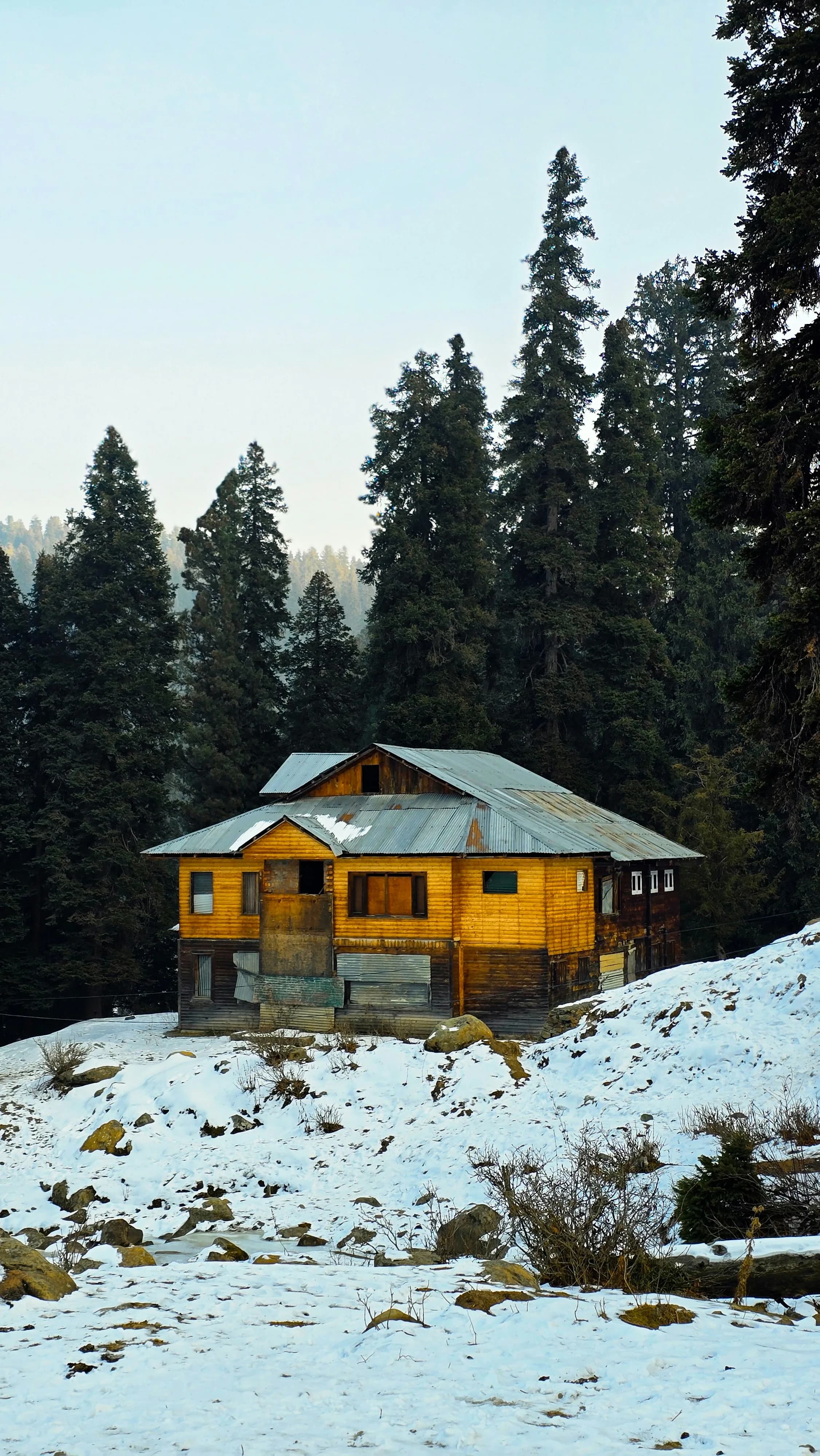 Eternal Bliss Signature Collection