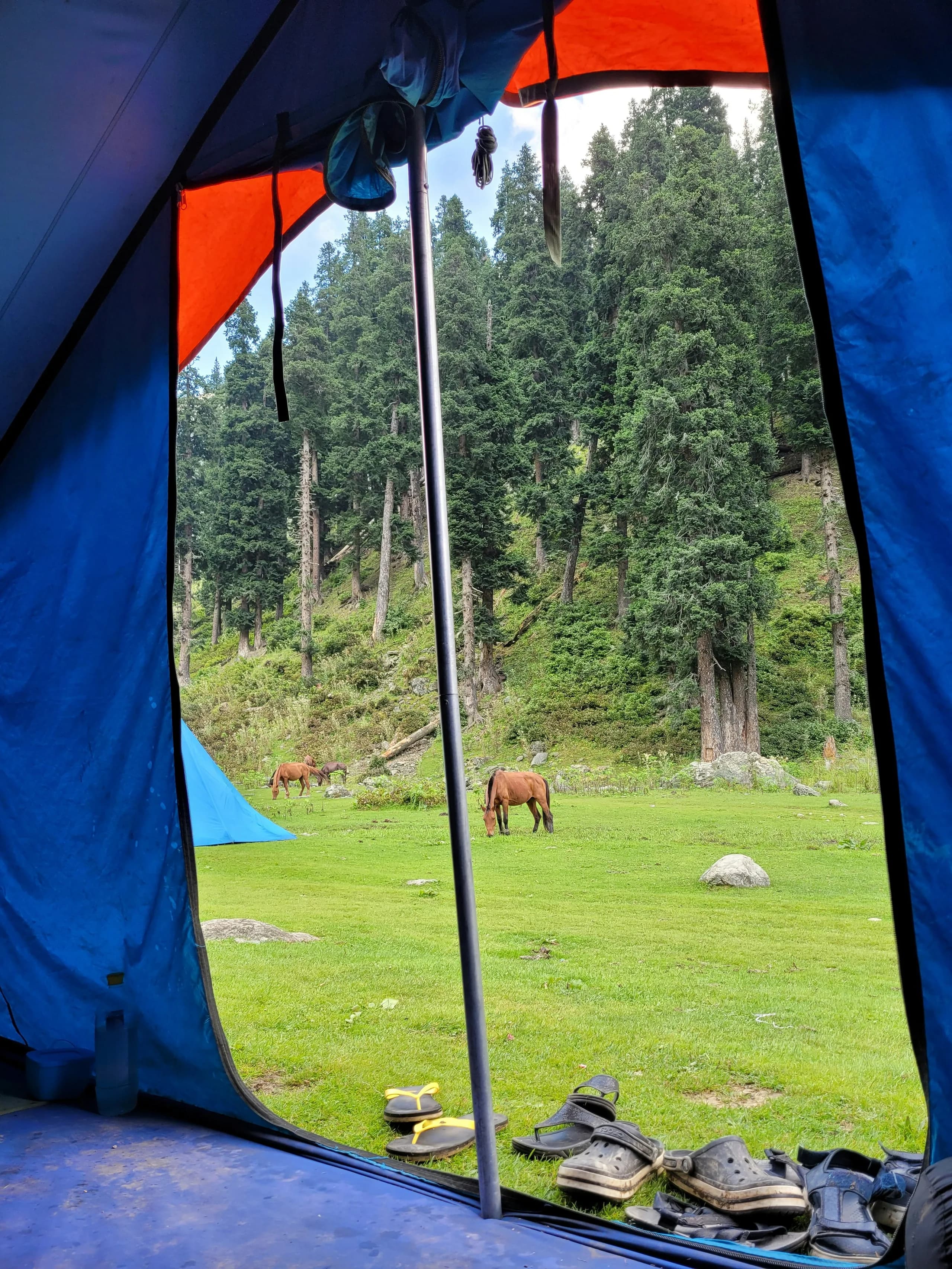 Trek To The Pristine Gangbal Lake