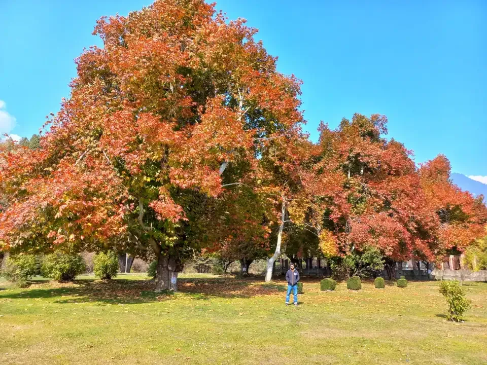 Tent & Trek Kashmir packages