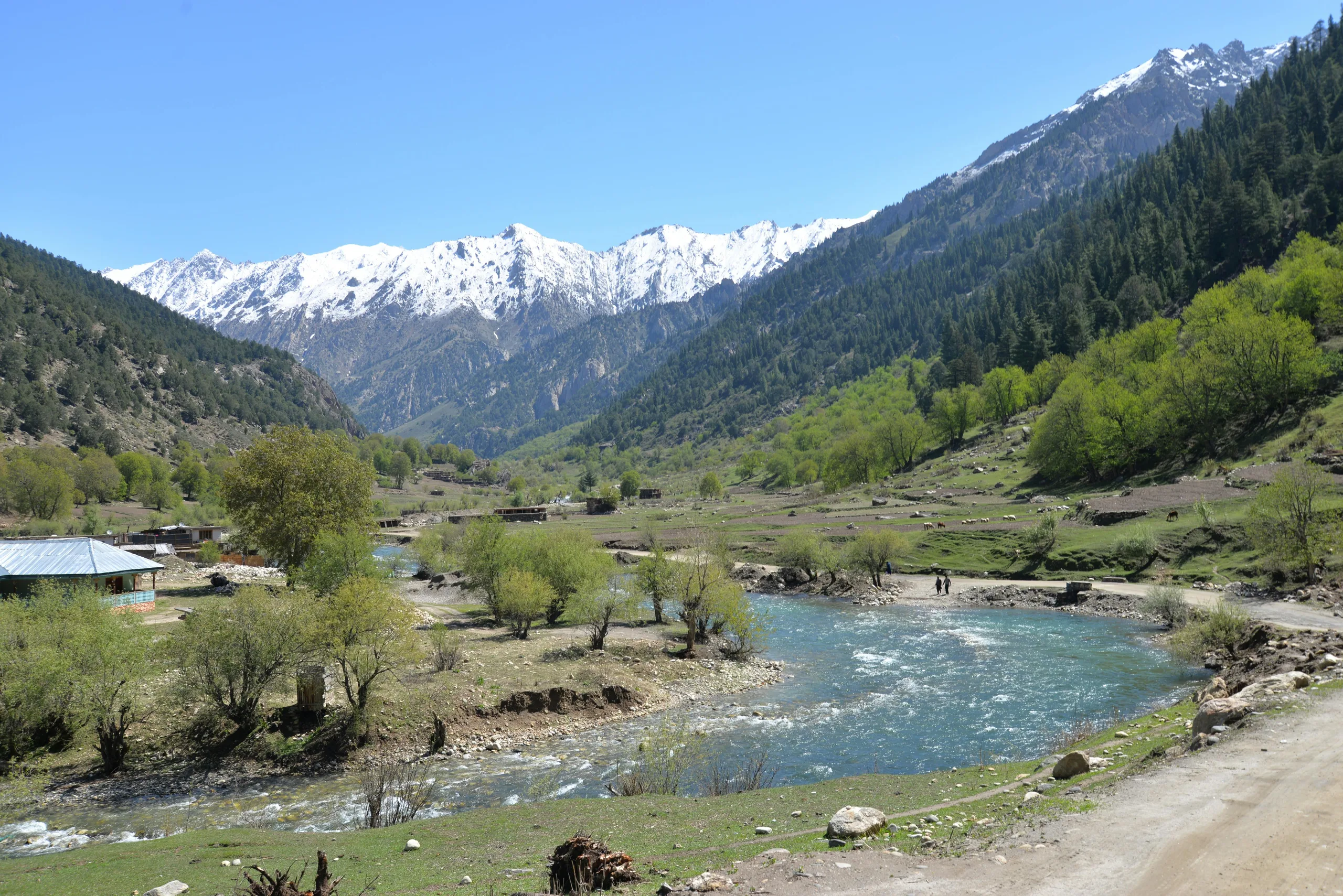 Sonmarg image 3