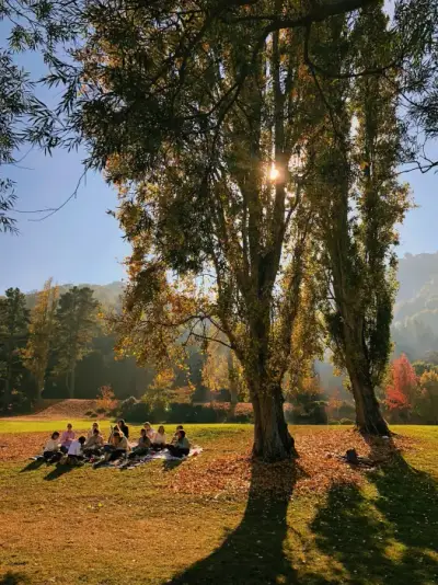 Family travel package: 6 Nights 7 Days